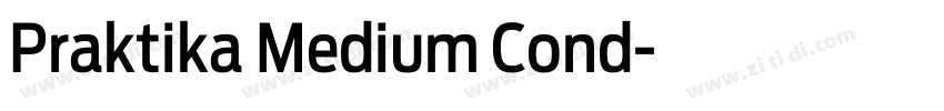 Praktika Medium Cond字体转换